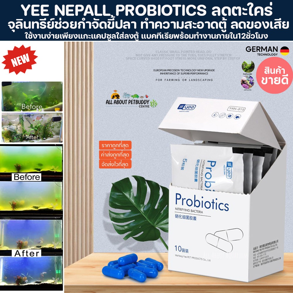 YEE NEPALL PROBIOTICS จุลินทรีย์ช่วยกำจัดขี้ปลา ทำความสะอาดตู้ Nitrifying Bacteria Bac เม็ด แบคตู้ปล