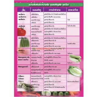 สตาร์เกิลจี (ไดโนทีฟูแรน) สารป้องกันและกำจัดแมลง เพลี้ย หนอนด้วง ไรแดง แมลงปากดูด ใช้โรยป้องกันหรือรองก้นกระถาง