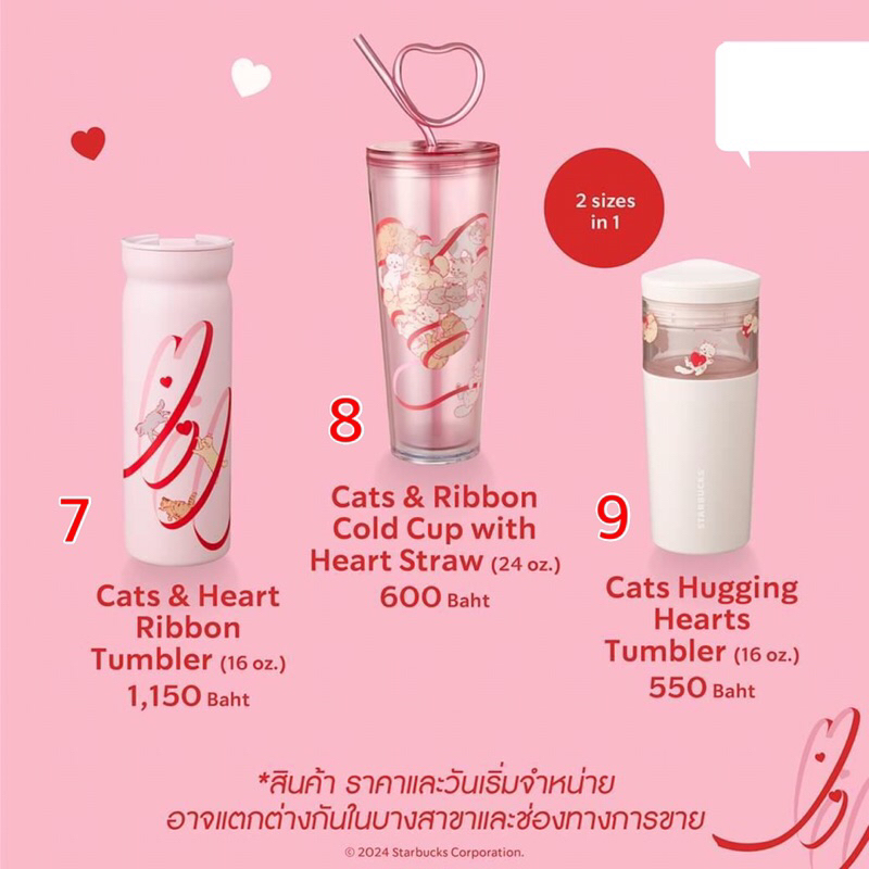 ⭐️Starbucks Feline in Love⭐️Starbucks Valentines Collection 2024⭐️สตาร์บัคส์วาเลนไทน์