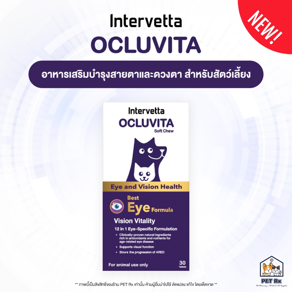 Ocluvita [แท้💯] อาหารเสริมเพื่อบำรุงสายตาและดวงตา สำหรับสุนัขและแมว