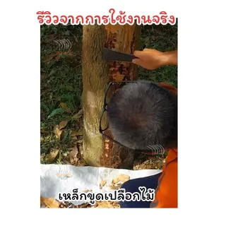 เหล็กขูดเปลือก ที่ขูดทุเรียน ตราค้างคาวของแท้ 100%เหล็กขูดต้นทุเรียน คมพร้อมใช้งาน 2 ด้าน ผลิตจากเหล็กกล้านำเข้าอย่างดี
