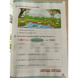 [New] สื่อฯ แม่บทมาตรฐาน วิทยาศาสตร์ ป.4 #อจท.