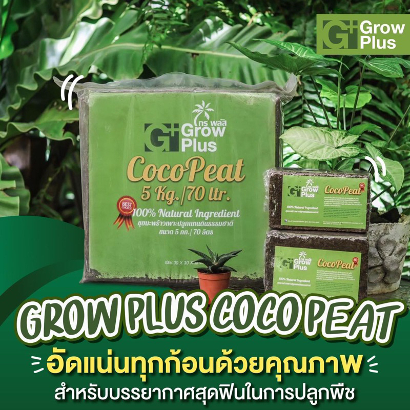 เกรดAAAอย่างดี!!!5KGขุยมะพร้าวอัดก้อนเพาะปลูก Coco Peat ล้างเทนนินแล้ว