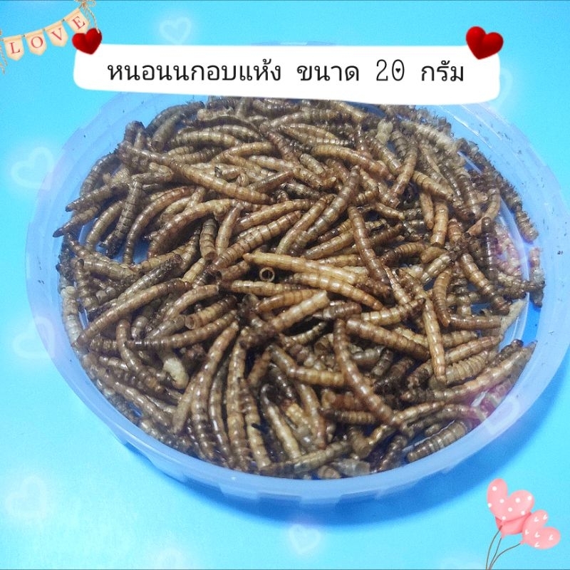 หนอนนกอบแห้ง ขนาด 20 กรัม (แบ่งขาย)