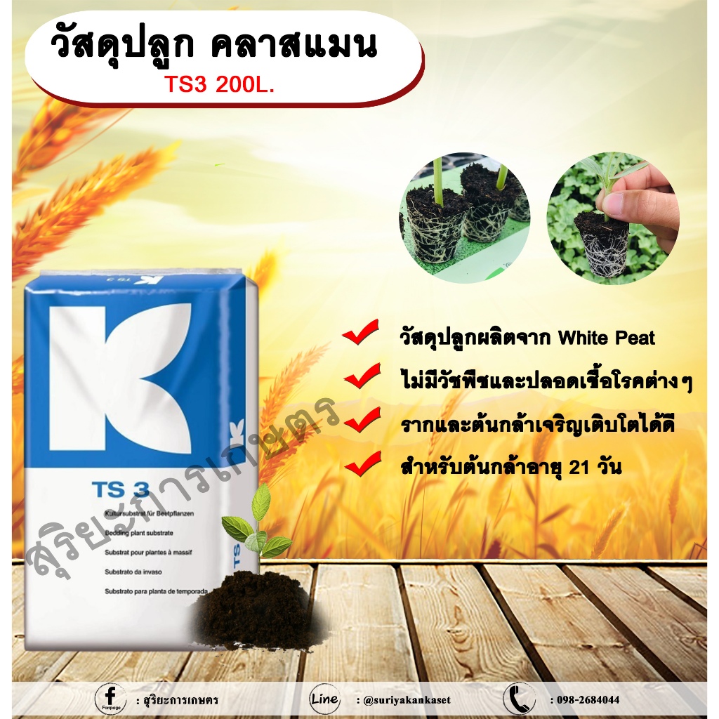 วัสดุปลูก คลาสแมน TS3 210L. ไวท์พีท พีทมอส วัสดุเพาะกล้า ดินเพาะต้นกล้า TS3 (1 คำสั่งซื้อต่อ1ออเดอร์