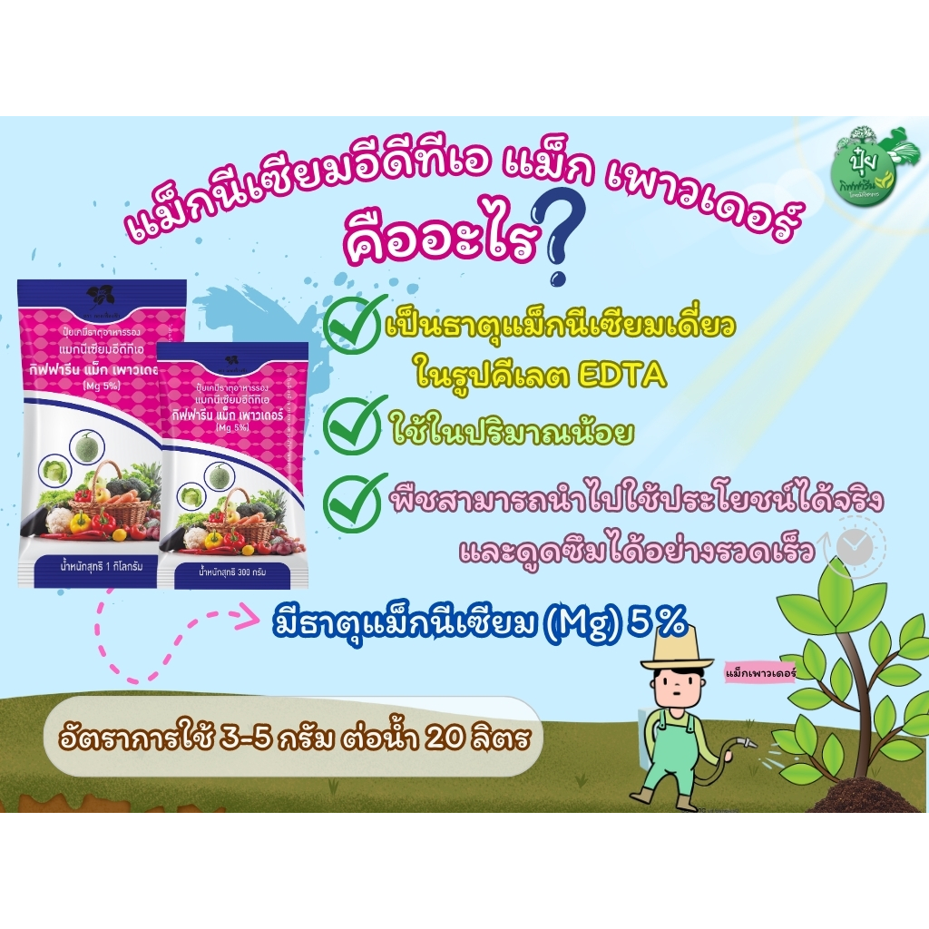 ปุ๋ยแม็กนีเซียม ฮอร์โมนปุ๋ยน้ำ ปุ๋ยเกร็ด ปุ๋ยเขียว แมกนีเซียม แม็กเขียว รูปคีเลต EDTA ละลายไว ดูดซึม