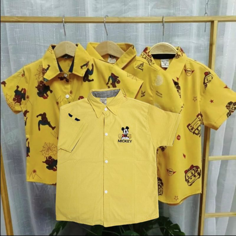 เสื้อเชิ้ตเด็ก แขนสั้น เลือกสีได้แต่คละลาย ราคา ถูกที่สุด ดีลบีเคเค แกลเลอรีภาพที่ 6