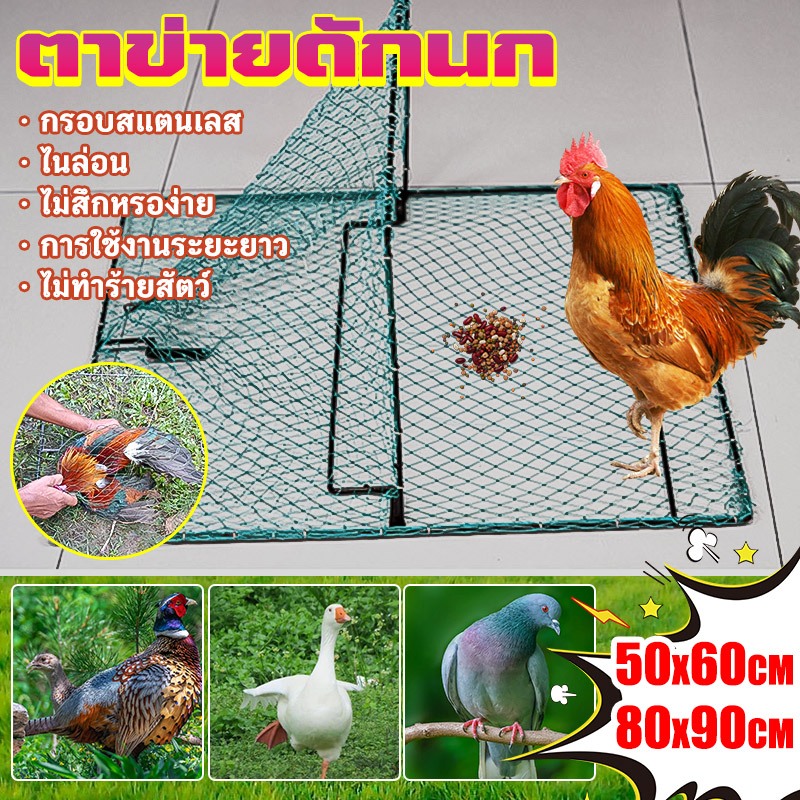 ที่ดักไก่ป่า กับดัก ไก่ กับดักนก กับดักแบบตาข่าย สี่เหลี่ยม กรอบสแตนเลส ไม่สึกหรอง่าย สปริงอย่างดี ตาข่ายในล่อน