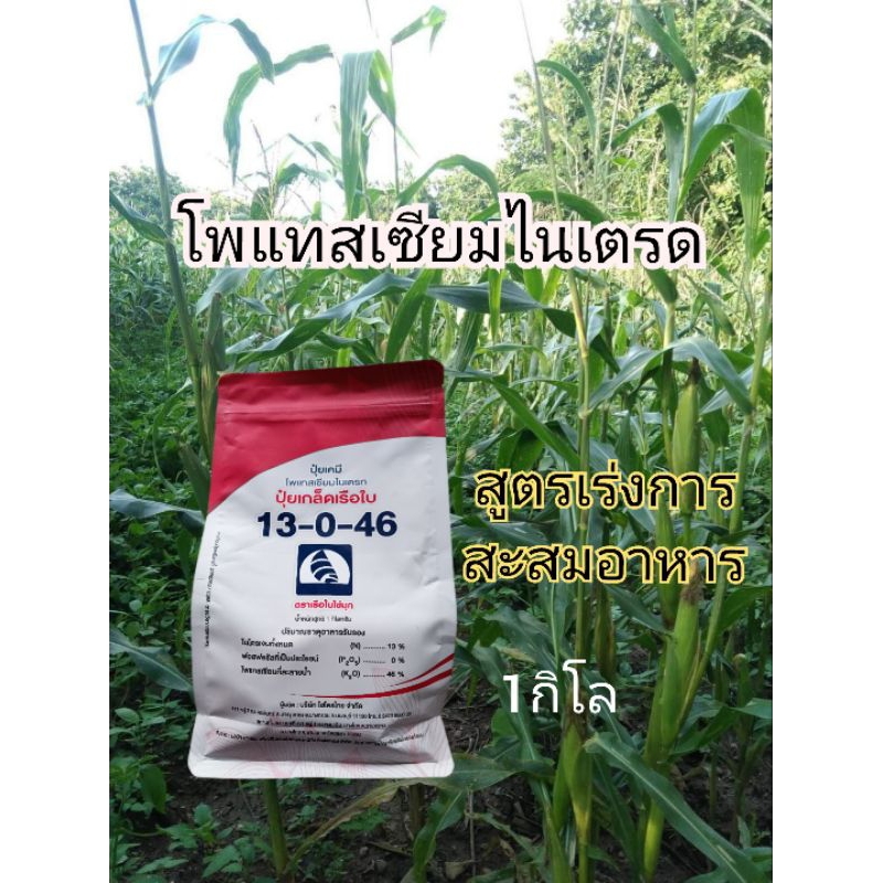ปุ๋ยเกล็ด 13-0-46 โพแทสเซียมไนเตรท 1กิโล