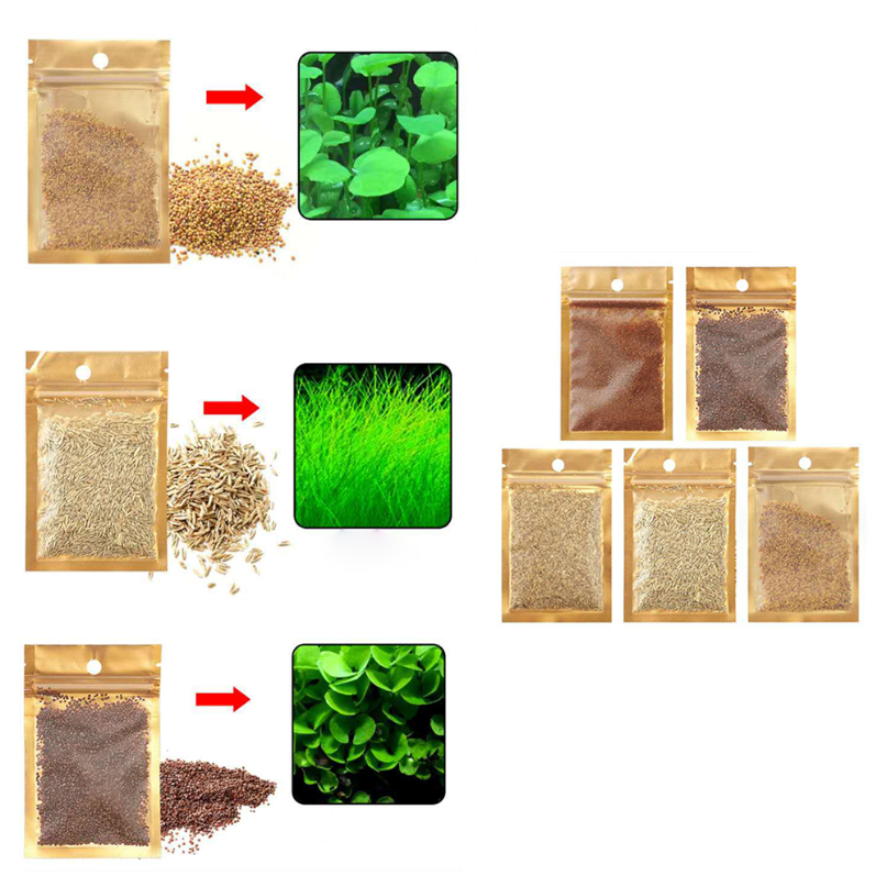 Ming เมล็ดไม้น้ำ เมล็ดพืชน้ำ หญ้าปลูกในน้ำ 10g/ซอง พร้อมส่ง