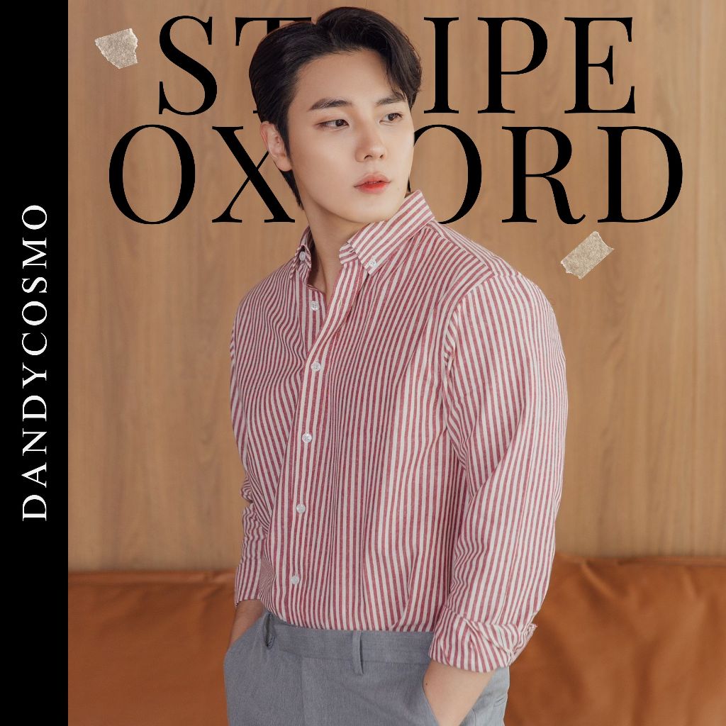 DANDY COSMO | [3สี] เสื้อเชิร์ต Oxford Shirt รุ่น ลายทางเล็ก-พื้นครีม Cotton