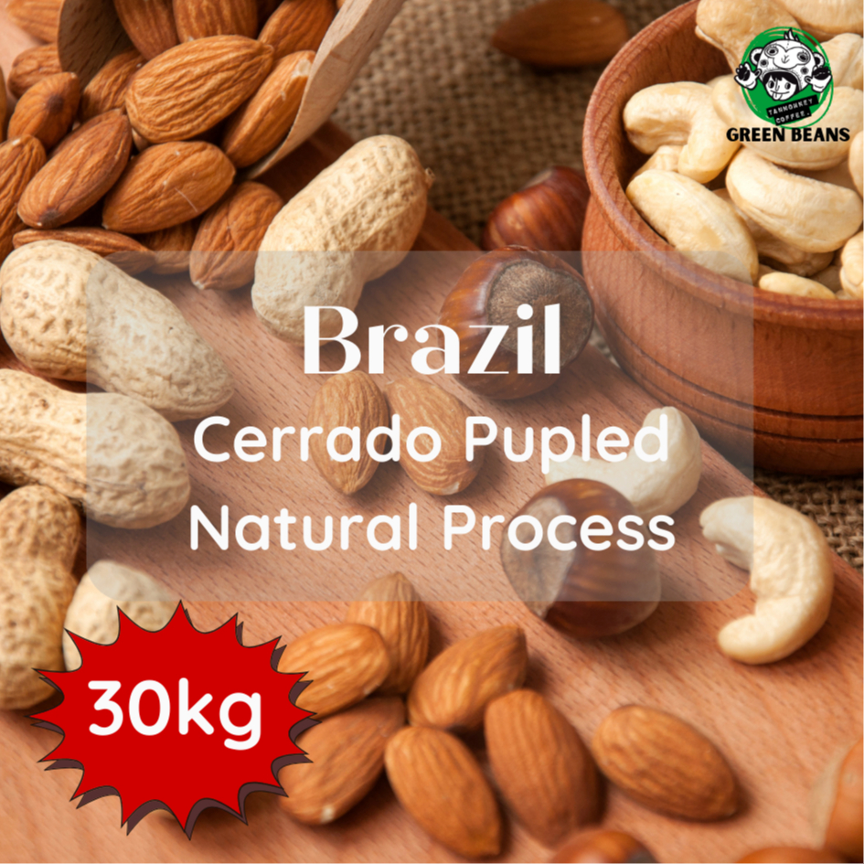 สารเมล็ดกาแฟ Brazil Cerrado Pupled-Natural Process ขนาด 30 kg
