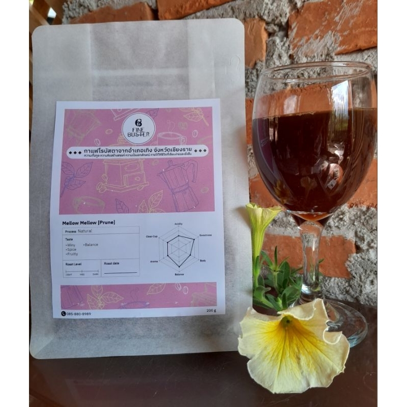 Fine Robusta : Mellow (Plum)