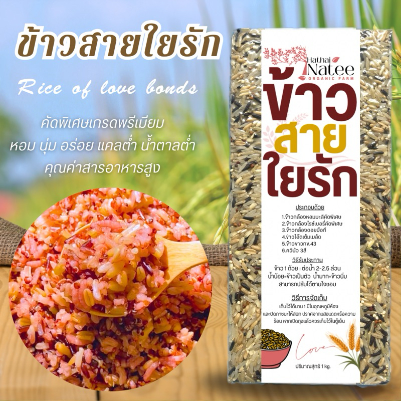 #ข้าวสายใยรัก #ข้าวกล้องเพื่อสุขภาพ #ข้าวผสมควินัว #ข้าวเพื่อสุขภาพ #ข้าวธัญพืชรวม