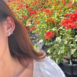 Petite Belle Stud ต่างหูสตั๊ดรูปหัวใจประดับเพทายและไข่มุก