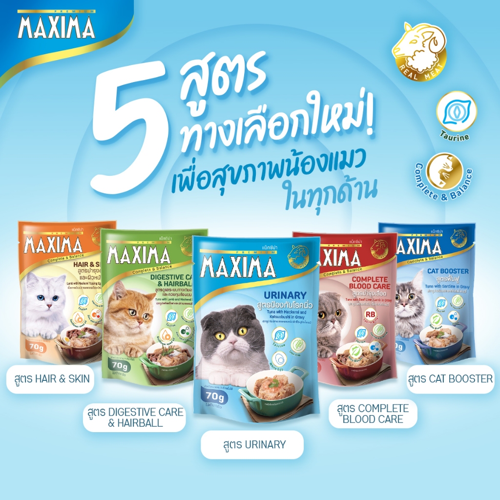 MAXIMA Cat Wet Food Premium Grade 70g อาหารเปียกแมว 70 กรัม