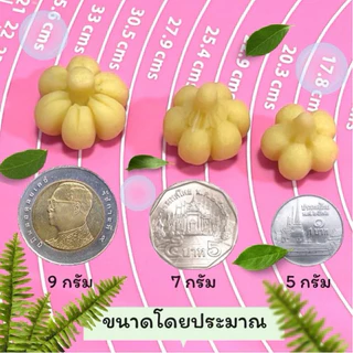 พิมพ์ลูกชุบเชอรี่ ขนาด 7 กรัม 🌿ไร้กลิ่น ไร้สารตกค้าง ผลิตจากซิลิโคน Food grade แท้ 100% ใช้ง่ายลงสีง่ายประหยัดเวลา🌿