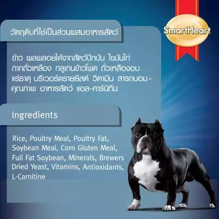[ขายดี]สมาร์ทฮาร์ท พาวเวอร์แพ็ค อาหารสุนัข สุนัขโต 20กก. | SmartHeart Power Pack Adult 20kg
