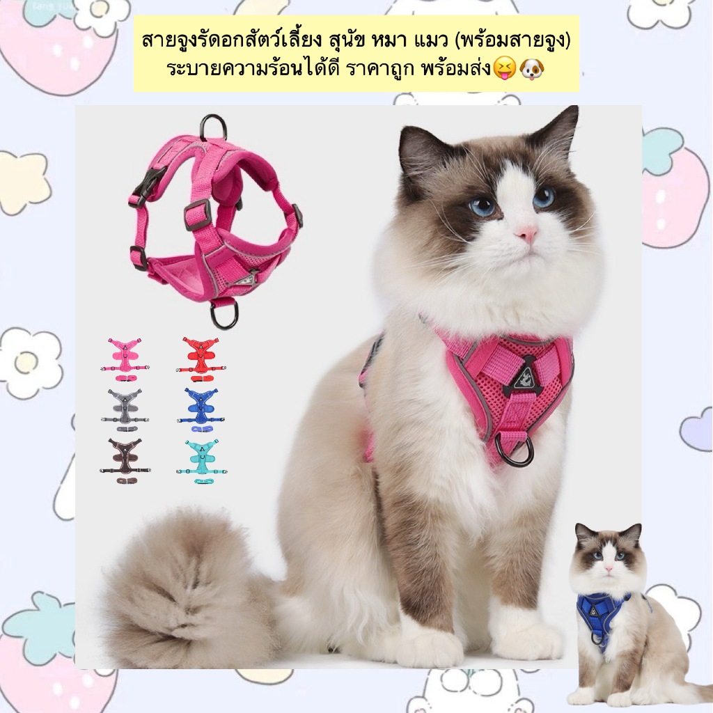 AL-835 สายจูงรัดอกสัตว์เลี้ยง สุนัข หมา แมว (พร้อมสายจูง) ระบายความร้อนได้ดี ราคาถูก พร้อมส่ง