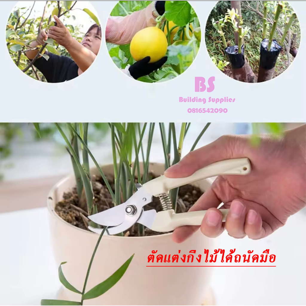 กรรไกรตัดกิ่งไม้ กรรไกรอเนกประสงค์ ส่งจากกรุงเทพ