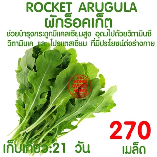 *โค้ดส่งฟรี* เมล็ดผักสลัด ผักสลัด เมล็ดผัก (2,000เมล็ด+) เมล็ดพันธุ์ เมล็ดพันธุ์ผักสลัด งอกดี ปลูกผัก สลัด Clearance
