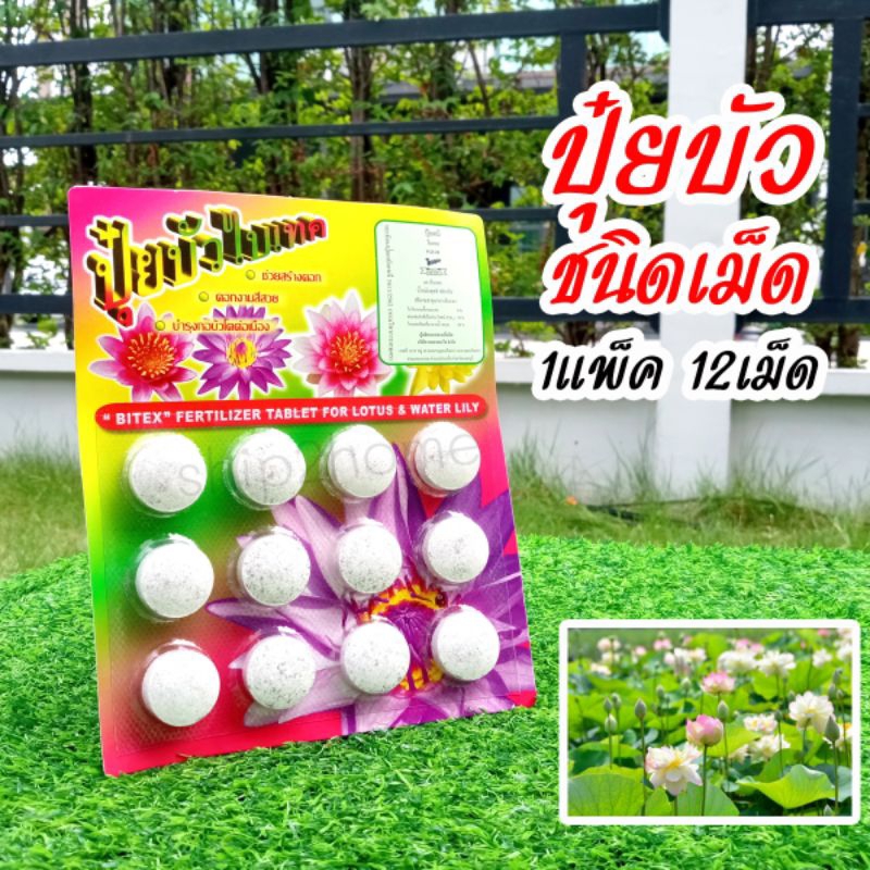 ปุ๋ยบัว ชนิดเม็ด แพ็ค 12เม็ด อาหารบัว อาหารไม้น้ำ ช่วยสร้างดอก บำรุงดอก บำรุงต้น