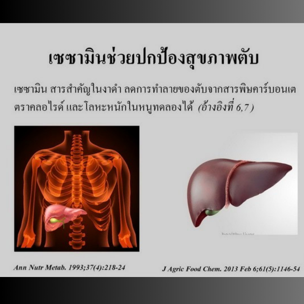 งาดำกิฟฟารีน เซซามิ-เอส สารสกัดจากงาดำ สารเซซามิน20มก ดูแลกระดูก ตับ สมอง มะเร็ง ลดไขมันความดัน ราคา ถูกที่สุด ดีลบีเคเค แกลเลอรีภาพที่ 6
