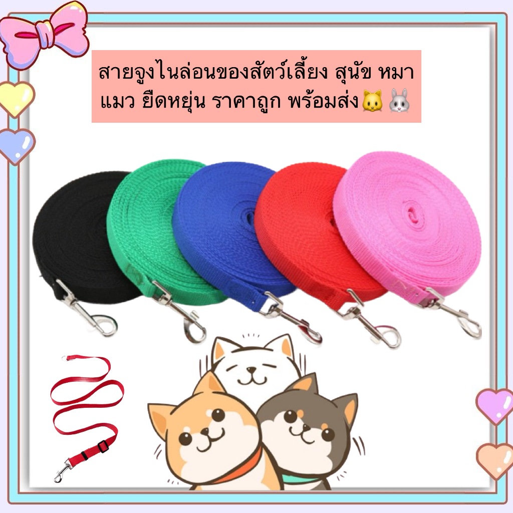 MG-845 สายจูงไนล่อนสำหรับสัตว์เลี้ยง ไม่มีตัวปรับขนาด ยืดหยุ่นสูง เหมาะสำหรับสุนัขและแมว ราคาประหยัด พร้อมส่งทันที 🐕🐈