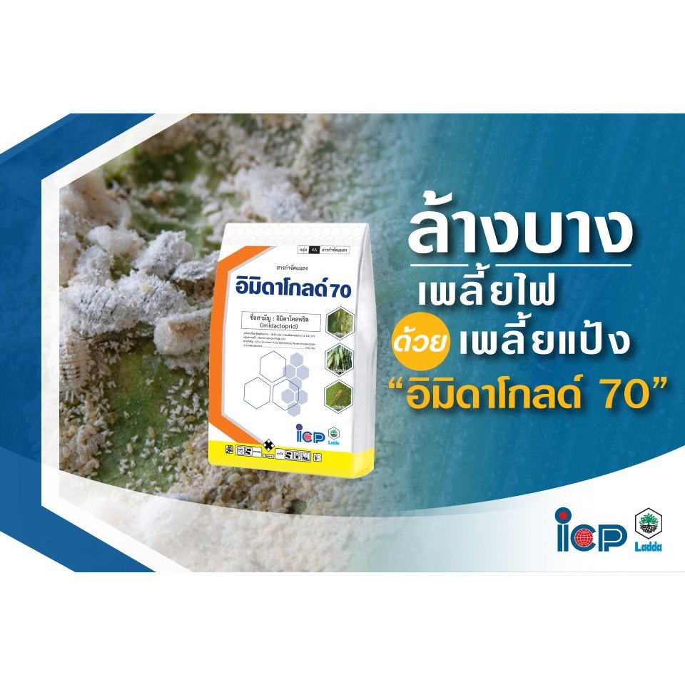 อิมิดาโกลด์ 70 สารป้องกันกำจัดแมลง ชนิดดูดซึม 500 กรัม