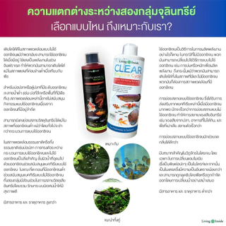จุลินทรีย์ดูแลสมดุลในระบบน้ำ อ่างปลา ตู้ไม้น้ำ บำรุงปลา บำรุงต้นไม้น้ำ สังเคราะห์แสง PSB สารสกัดจากยีส | living Inside