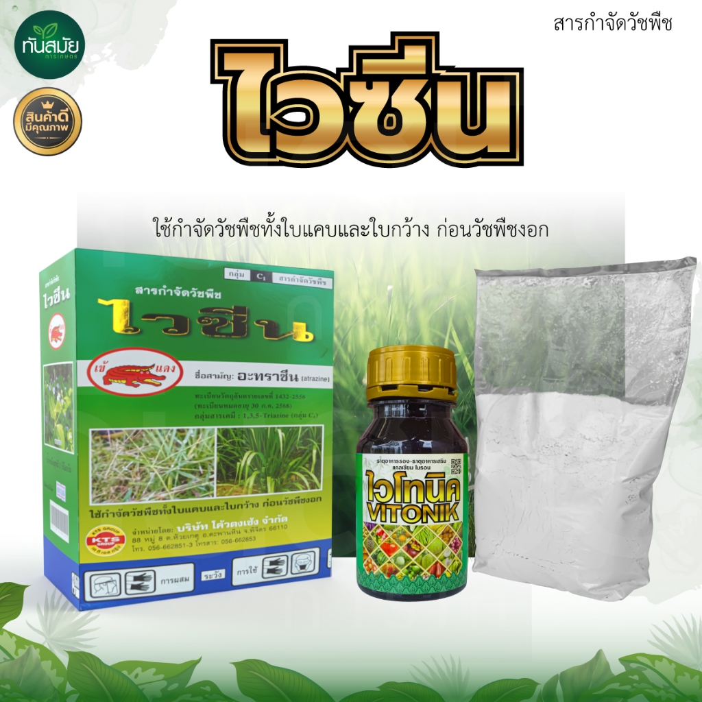 ไวซีน ยากำจัดวัชพืช สารกำจัดวัชพืช ตราเข้แดง ไวซีนสูตรพิเศษ สารควบคุมและกำจัดวัชพืชในข้าวโพดอ้อยและสับปะรด เห็นผลไว