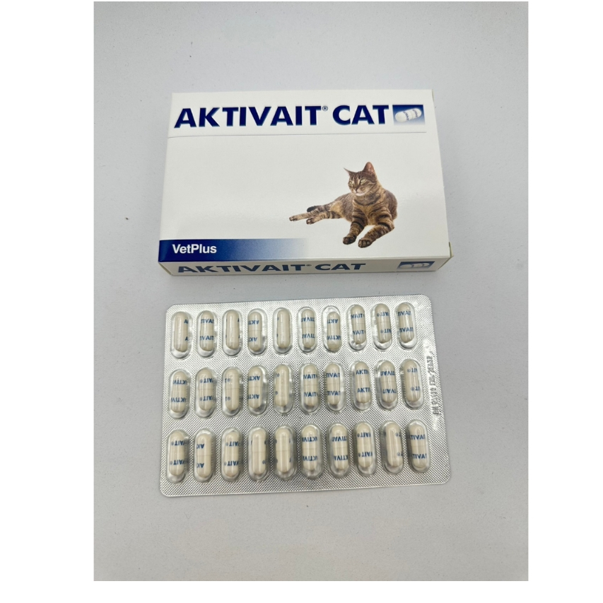 Aktivait Cat อาหารบำรุงระบบประสาทและสมอง ขนาด 60 แคปซูล