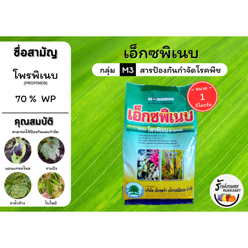 เอ็กซพิเนบ (โพรพิเนบ 70% WP) สารเดียวกับแอนทราโคล ป้องกันกำจัด โรคราน้ำค้าง ใบจุดใบไหม้ แอนแทรคโนส (ขนาด 1 กิโลกรัม)