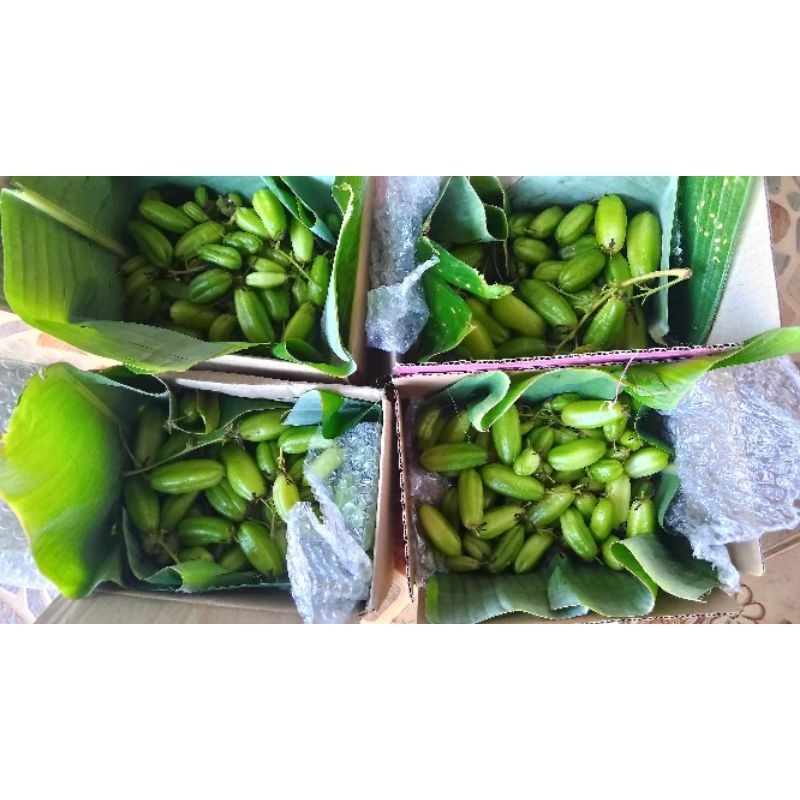 ตะลิงปลิงสด กิโลละ100บาท (ทานสด หรือไปอบทำขนม)