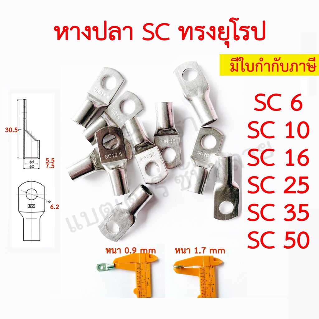 หางปลา ทรงยุโรป หนา ทองแดงชุบดีบุก SC 6-6 6-8 10-6 10-8 16-6 16-8 25-8 35-8 50-8