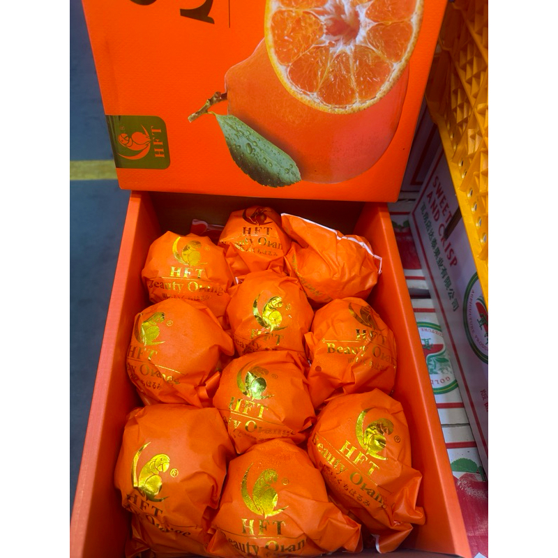 สินค้าเข้าใหม‼️ Papa Dekopon Orange 🍊🦜ส้มจุกสายพันธุ์ญี่ปุ่นนกแก้วกล่องส้มนำเข้าจากประเทศจีน🛳️