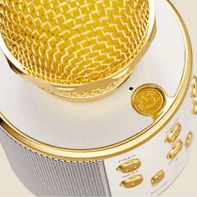 WSTER 💥งานแท้100%💥 ไมค์คาราโอเกะ WS-858 ไมโครโฟนไร้สาย ร้องคาราโอเกะได้ เปลี่ยนเสียงได้ 5 เสียง พร้อมฟังก์ชั่นหลากหลาย