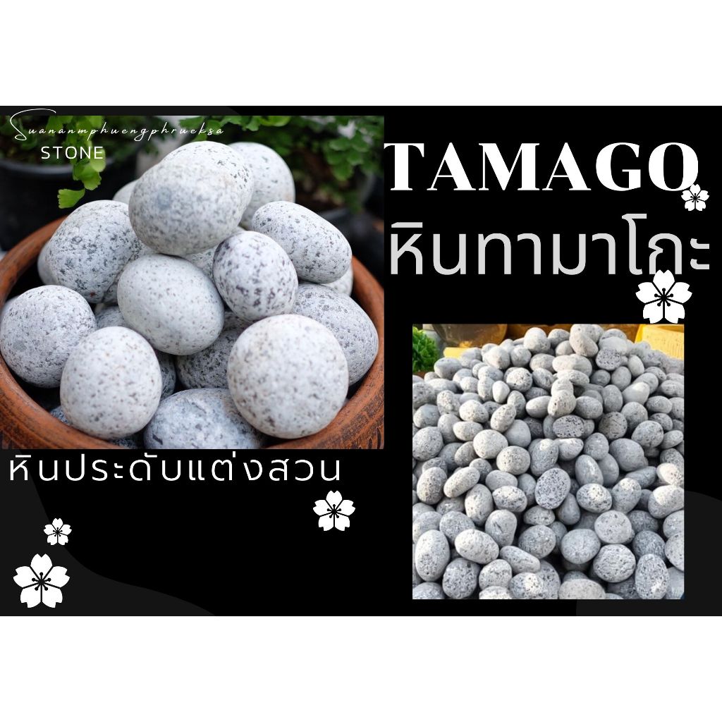 หินทามาโกะ หินไข่ 5-10 กก.หินนำเข้า