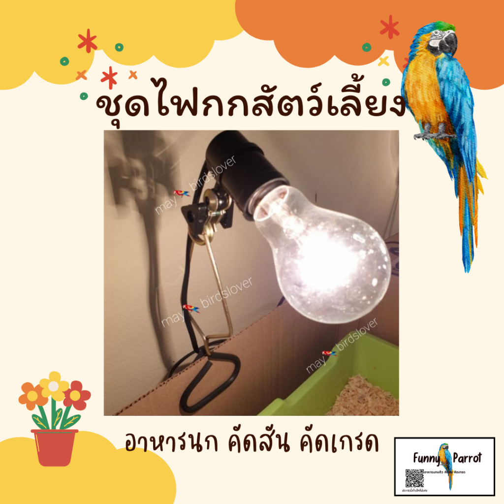 ไฟกกสัตว์เลี้ยงพร้อมชุดขาไฟและหลอดไฟ ใช้ได้กับทุกนกเช่นกระรอกชูก้าเต๋านกเเละอื่นๆ