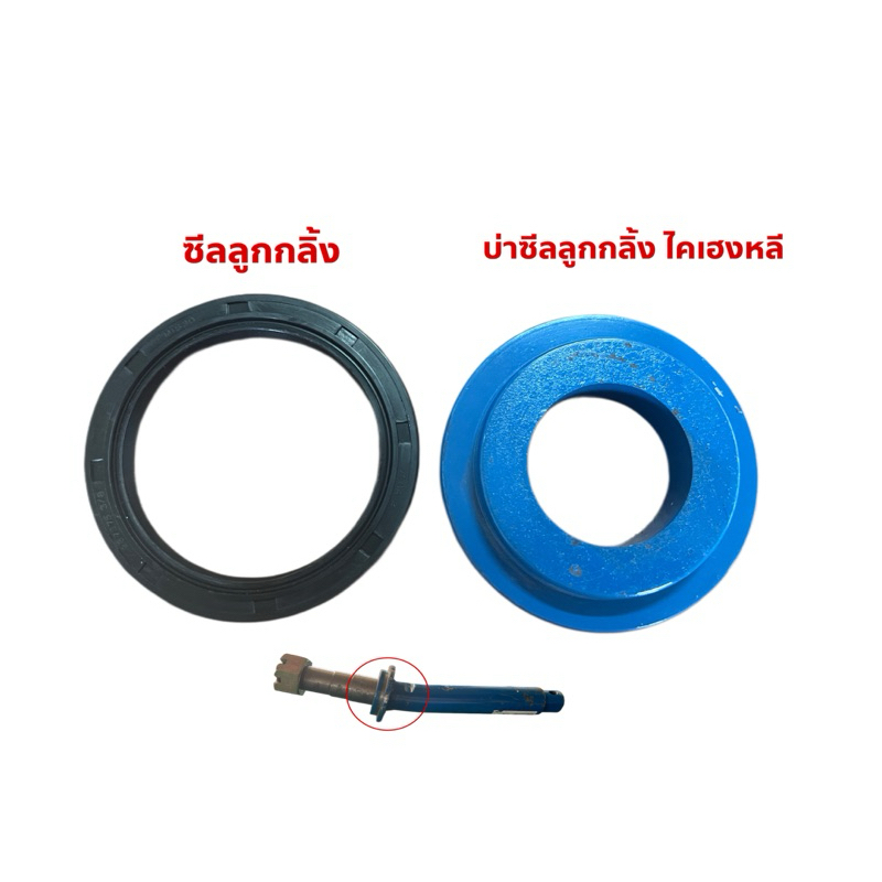 บ่าซีลเพลาคัดท้าย และซีลเพลาคัดท้าย ไคเฮงหลี