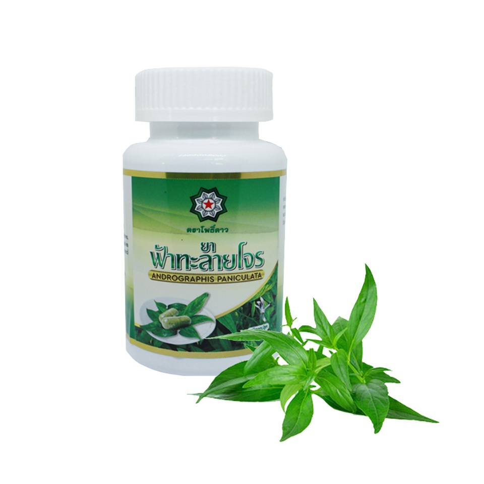 ฟ้าทะลายโจรแคปซูลตราโพธิ์ดาว100เม็ด