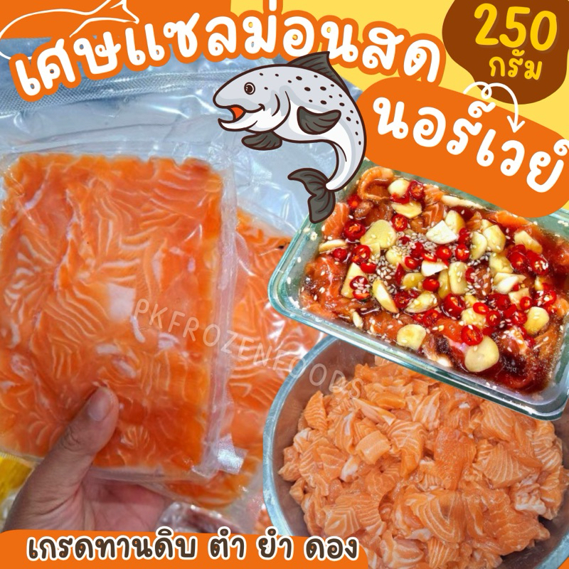 เศษปลาแซลม่อนสด นอร์เวย์(250g.)🧡🐟ตำ ยำ ดอง เกรดทานดิบได้ 🚚💨ค่าส่งแบบเหมา ส่งขนส่งแช่เย็น💦ฟรี ลังโฟมท