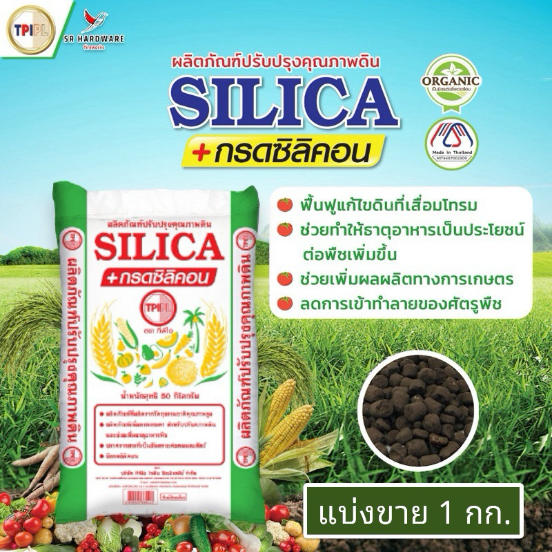 (แบ่งขาย1-5กก.) สารปรับปรุงดิน SILICA + กรดซิลิคอน (เม็ด) ตรา ทีพีไอ TPI ลดการเข้าทำลายของศัตรูพืช ป้องกันโรครา โรคพืช