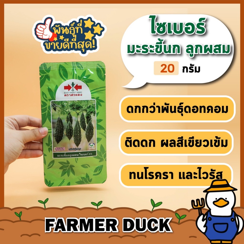 มะระขี้นก ไซเบอร์ F1 ( ส่งฟรี ) ล๊อตใหม่ใส่ถุง ไซเบอ เมล็ดพันธุ์ มะระขี้นก มะระ ลูกผสม ตรา ศรแดง บรรจุ 20/100 กรัม