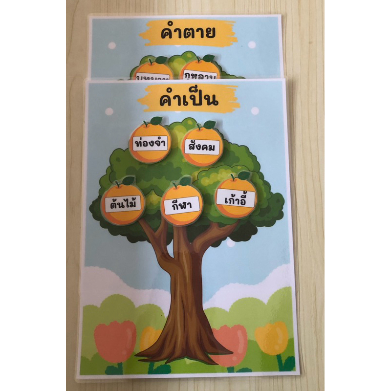 “คำเป็นคำตาย”สื่อการสอนภาษาไทย(1ชุดได้2ชิ้น)