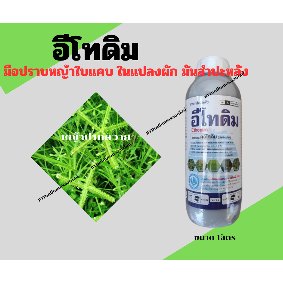 อีโทดีม 1ลิตร สารคลีโทดิมคุณภาพสูง สารกำจัดวัชพืชใบแคบทุกชนิด ในแปลงผักใบกว้าง และมันสำปะหลัง