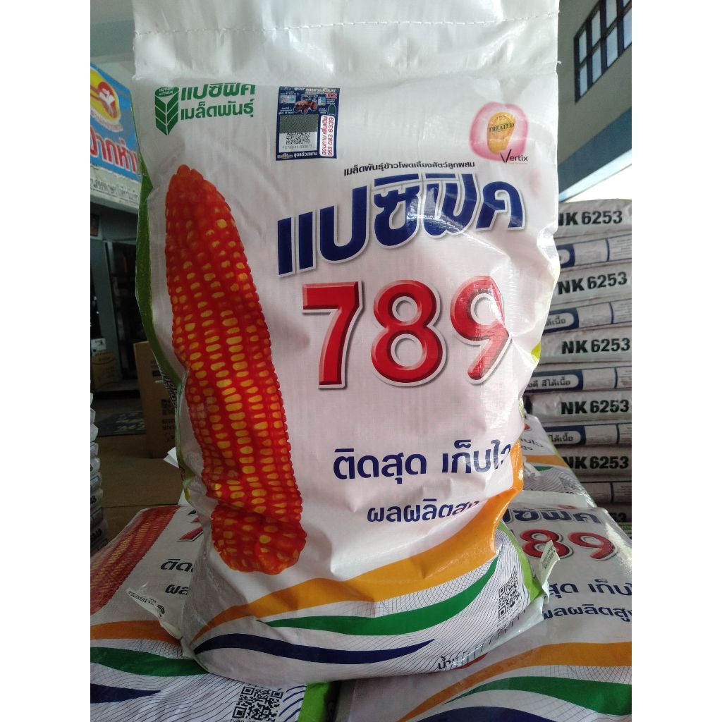 เมล็ดพันธุ์ข้าวโพดเลี้ยงสัตว์แปซิฟิก 789 ขนาดกลาง 3.5 หุน