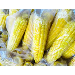 ข้าวโพดหวาน ไร่สุวรรณ sweet corn พันธุ์อินทรี2 ศูนย์วิจัยข้าวโพดและข้าวฟ่างแห่งชาติ มหาวิทยาลัยเกษตรศาสตร์
