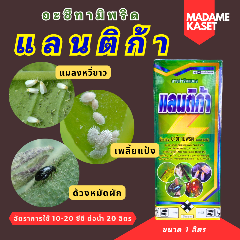 แลนติก้า (อะซีทามิพริด 20% SL) กำจัดเพลี้ยแป้ง เพลี้ยไฟ เพลี้ยอ่อน แมลงหวี่ขาว ด้วงหมัดผัก แมลงบั่ว จำพวกแมลงปากดูด (1 ล