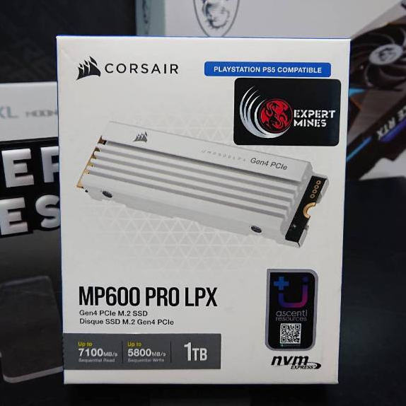 CORSAIR MP600 PRO LPX 1TB : CSSD-F1000GBMP600PLPW SSD